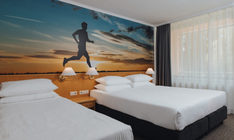 Hit Alpinea Rooms 6